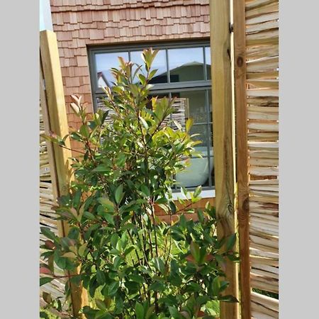 特里博Tiny Loft Im Suedhessischen Ried公寓 外观 照片