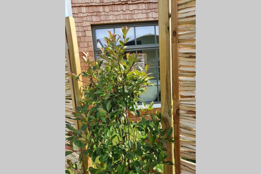 特里博Tiny Loft Im Suedhessischen Ried公寓 外观 照片
